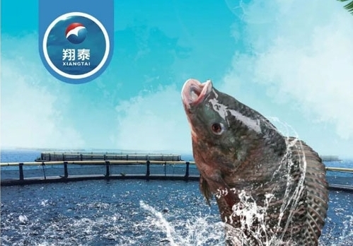 翔泰漁業(yè)深耕【海南鯛】近二十年，堅(jiān)持高品質(zhì)水產(chǎn)品穩(wěn)定供應(yīng)，不斷創(chuàng)新研發(fā)產(chǎn)品以滿足不同市場需求！