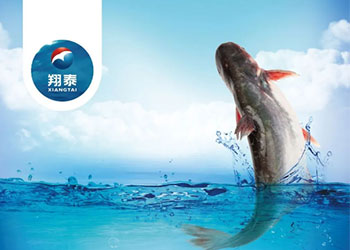 繼金鯧魚、海南鯛之后！翔泰漁業(yè)全力打造第三條精品魚【海南巴沙魚】