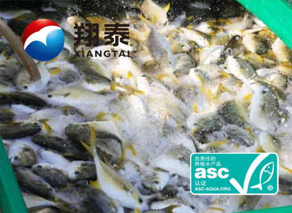 全球首家！海南翔泰漁業(yè)榮獲全球首張ASC金鯧魚網(wǎng)箱養(yǎng)殖認(rèn)證證書